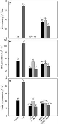 Methyl Jasmonate Alleviates Cadmium-Induced Photosynthetic Damages through Increased S-Assimilation and Glutathione Production in Mustard